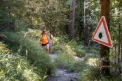 Pärchen beim Wandern in einem Zeckengebiet im Wald Pärchen beim Wandern in einem Zeckengebiet im Wald